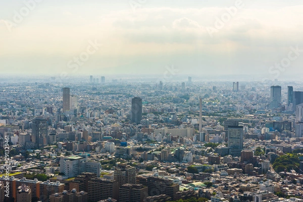 Obraz 東京の風景 Tokyo city skyline , Japan.