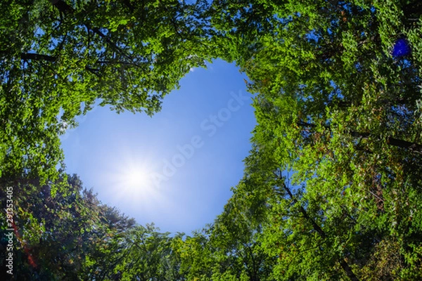 Fototapeta Leaves background concept heart love ecology.
