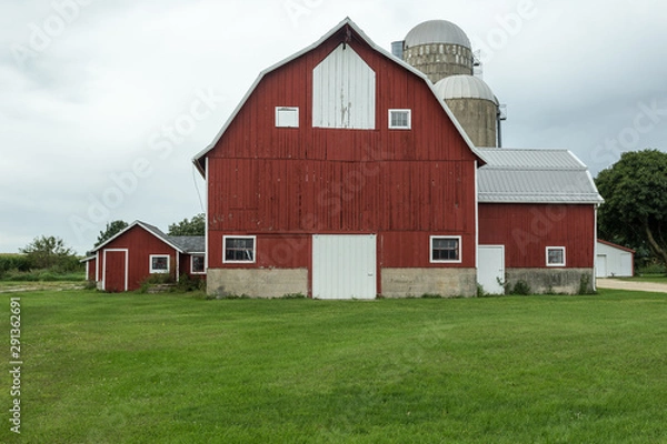Fototapeta Multistory red barn with silos on green grass with an overcast sky