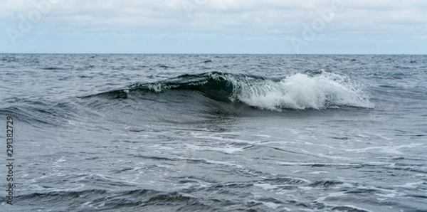 Obraz Single ocean wave