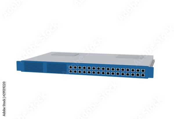 Obraz Network Switch