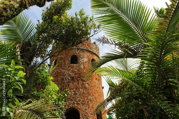 Fototapeta View of the rain forest in El Yunque National Park in Puerto Rico