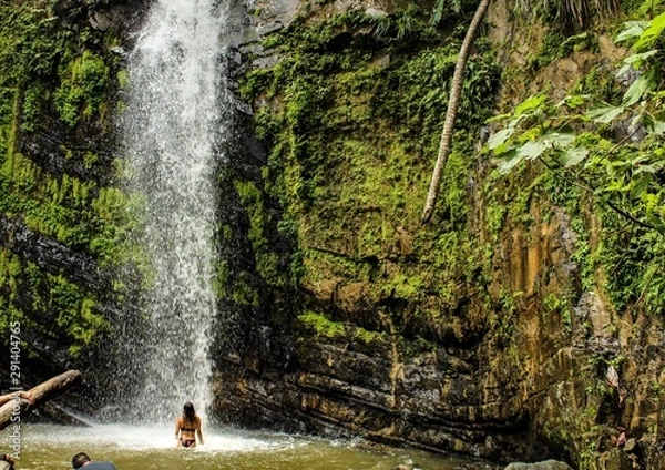 Fototapeta View of the rain forest in El Yunque National Park in Puerto Rico