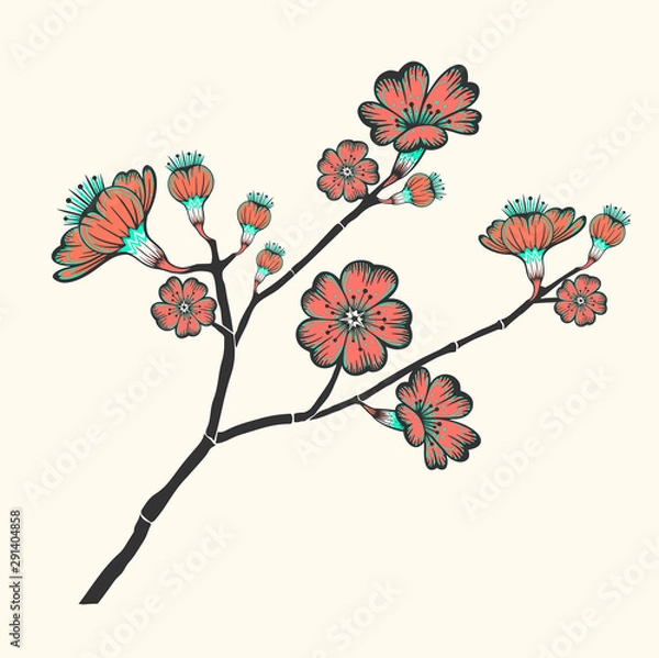 Fototapeta Blooming pink flower vector