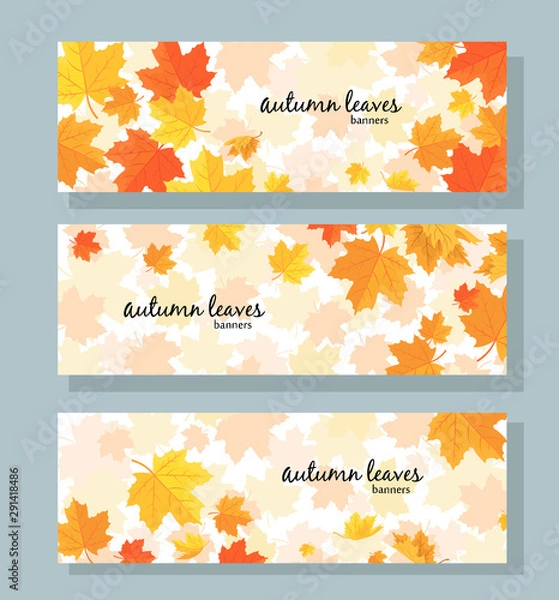 Obraz Set of three horizontal banners with autumn maple leaves on white background
