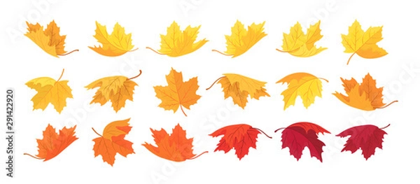 Fototapeta Large set of autumn maple leaves. Vector autumn background with leaves.