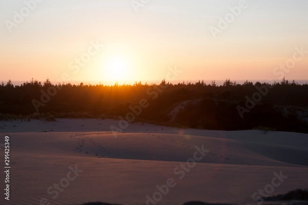 Obraz Sunset by Dunes and Forest