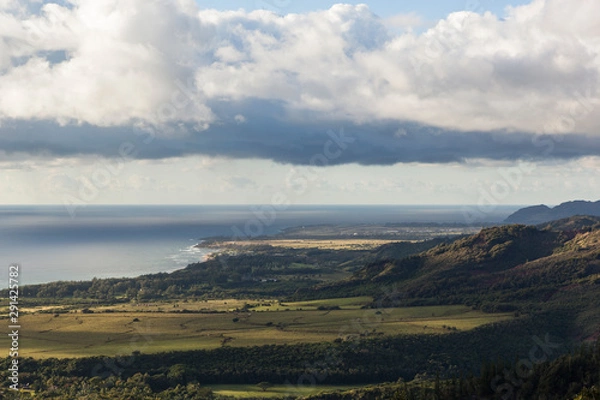 Obraz Tropical Countryside