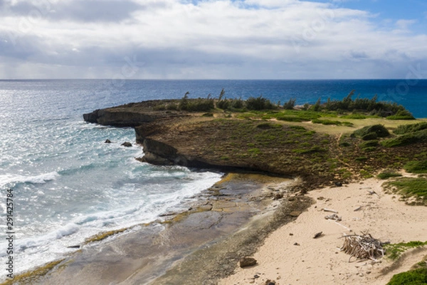 Obraz Tropical Beach