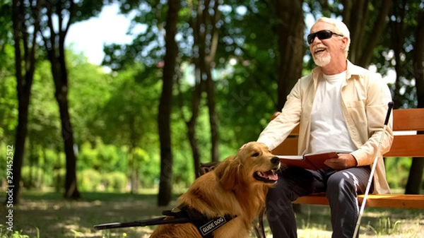 Fototapeta Cheerful blind man holding book and stroking assistance dog, enjoying life