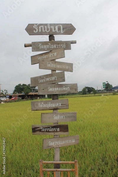 Obraz blank sign in park