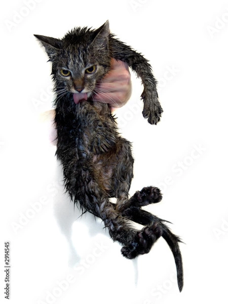 Fototapeta helping hand