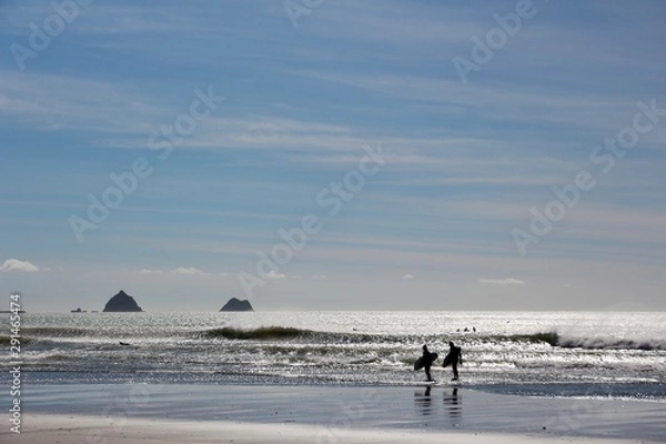 Obraz Surfers on the beach