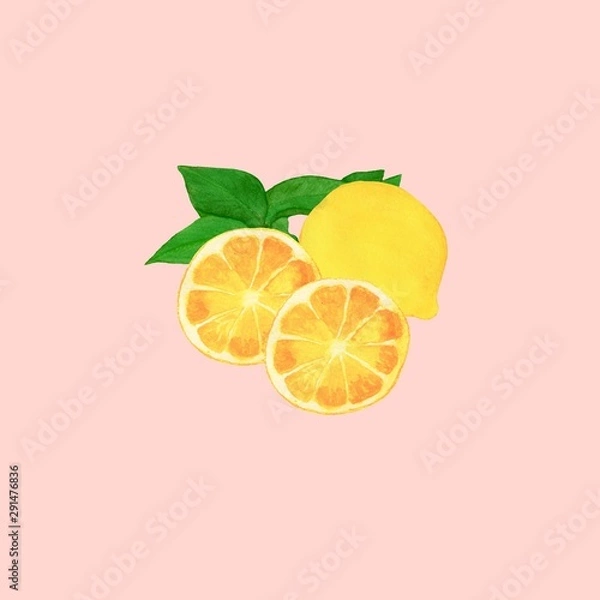 Fototapeta slice of lemon isolated on pink background