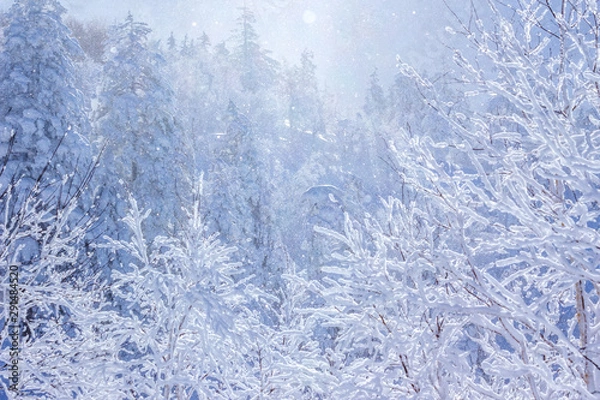 Obraz ダイヤモンドダスト