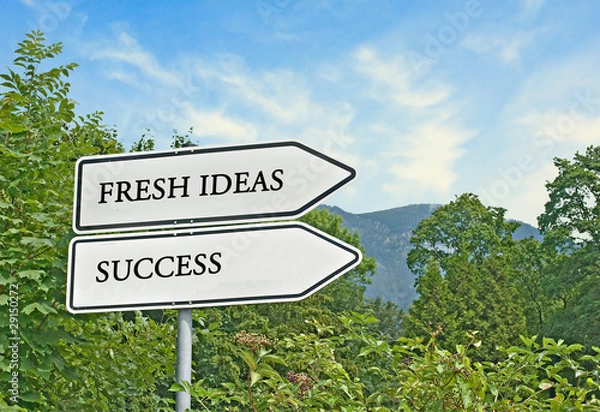 Fototapeta Road sign to fresh ideas and success