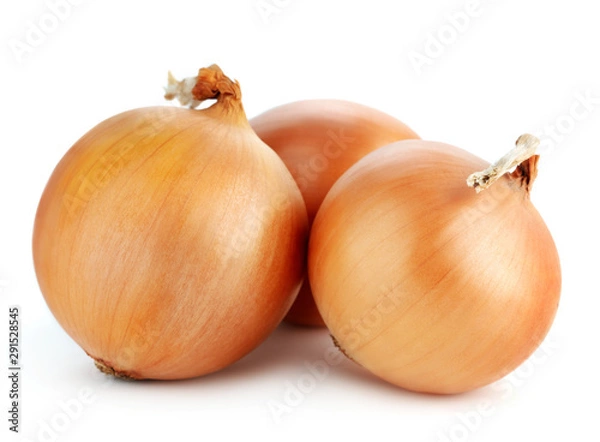 Obraz onions isolated on white background