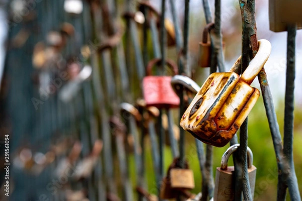 Fototapeta locks on the bridge