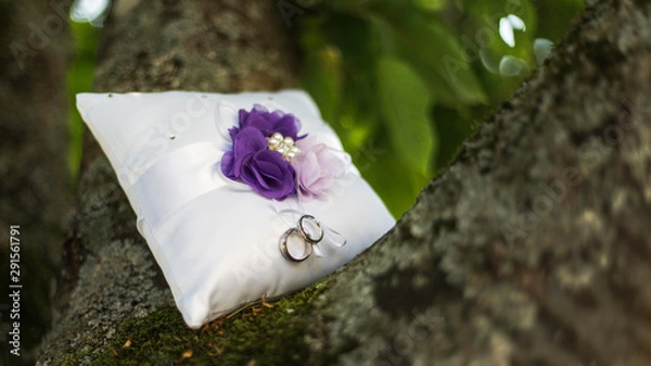 Fototapeta Alliances