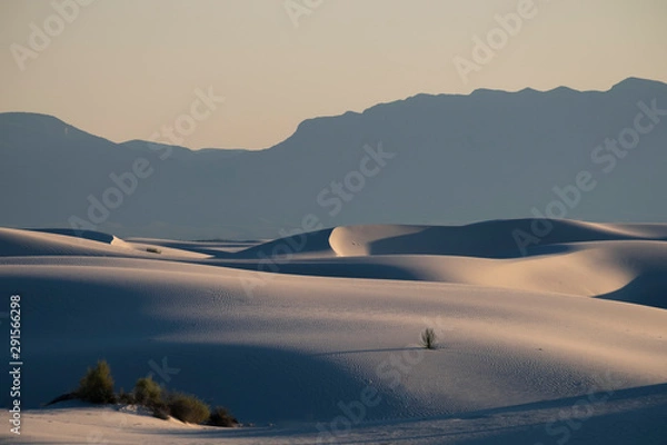 Fototapeta White Sands