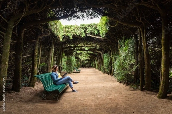 Fototapeta Lecture seule