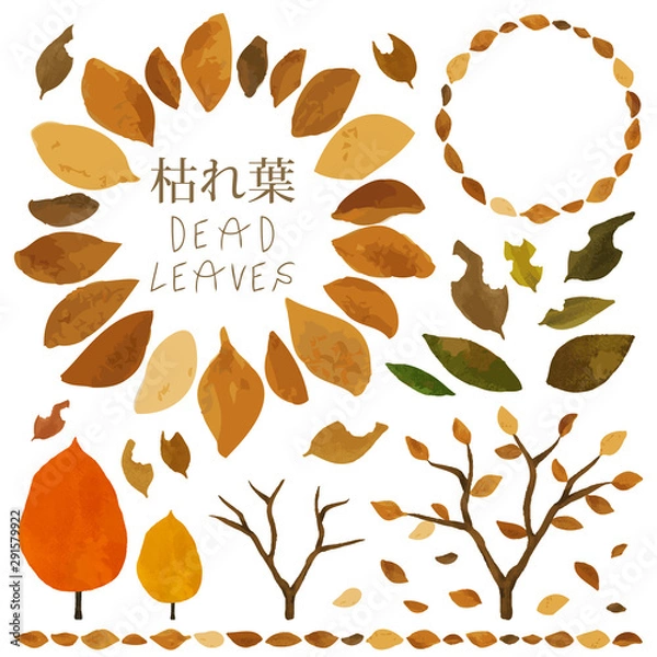 Obraz 枯れ葉 素材