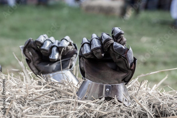 Obraz rękawice rycerskie