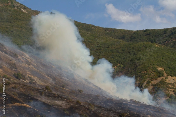 Fototapeta Aerial firefighting