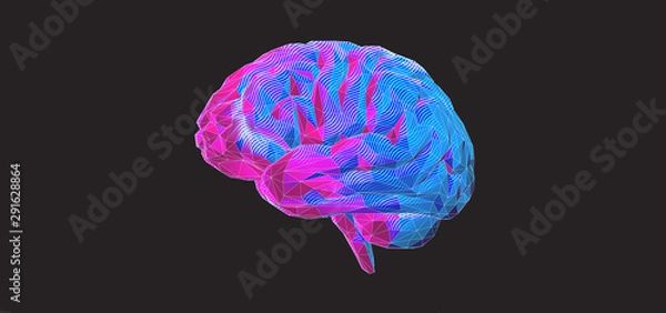 Fototapeta Colorful polygonal brain graphic design on dark BG