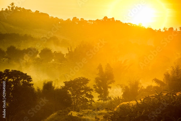 Obraz Foggy early morning in the mountains with shadows and silhouettes of forest and hills.