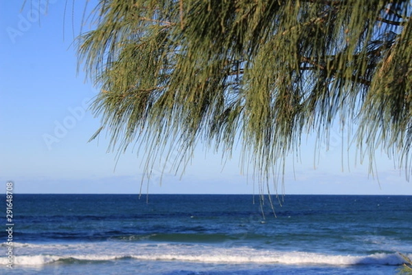 Obraz tree on the beach