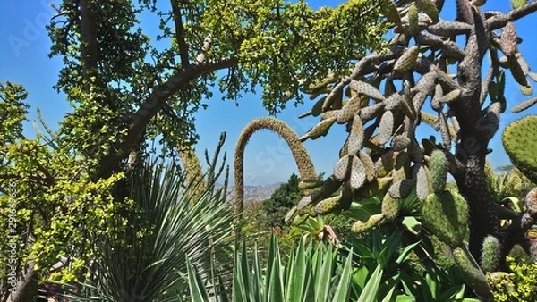 Obraz Gate to Funchal