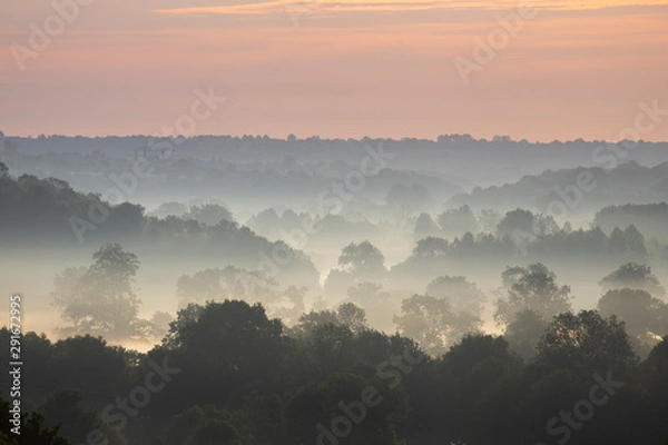 Obraz Brume