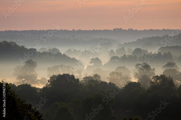 Obraz Brume