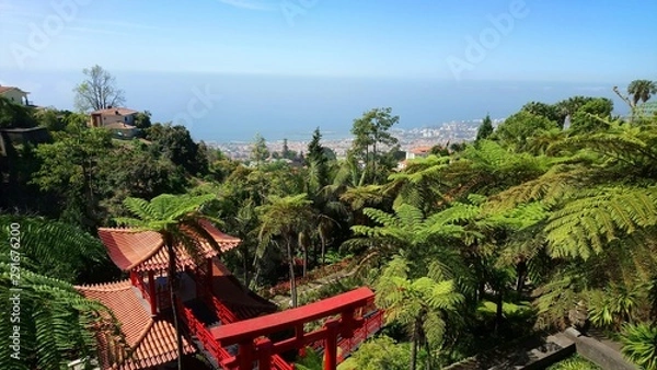 Obraz Funchal Tropical Garden