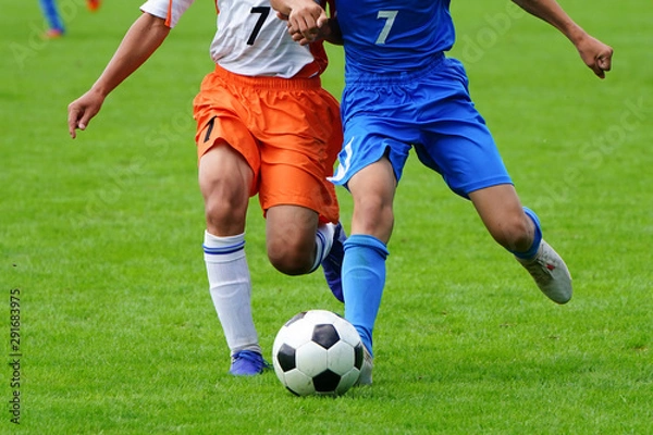 Fototapeta サッカー　フットボール