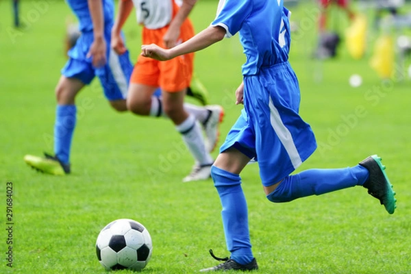 Fototapeta サッカー　フットボール