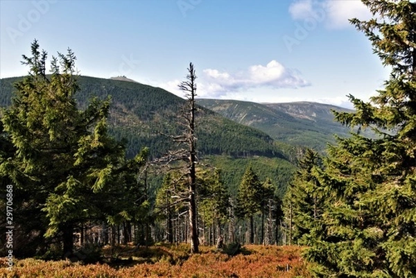 Obraz widok na góry