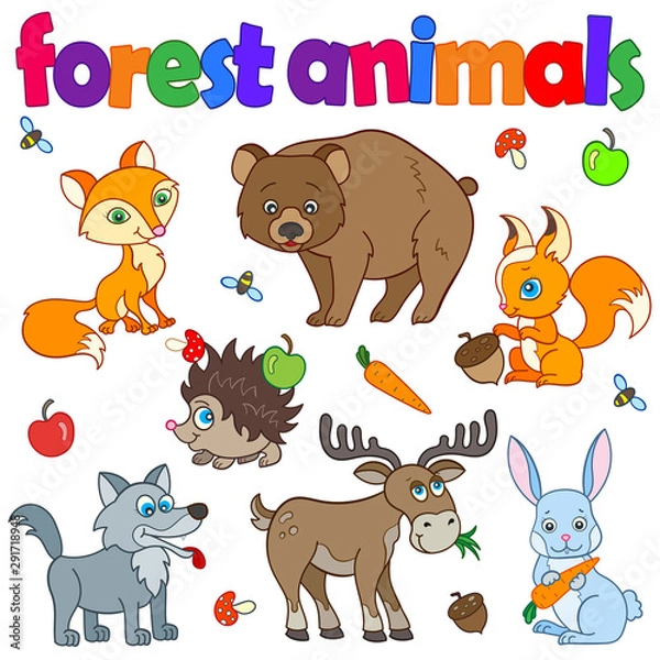 Fototapeta Set of r illustrations with forest animals, bright animals on a white background