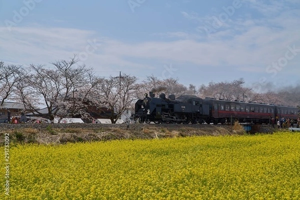 Obraz 真岡鐡道　蒸気機関車