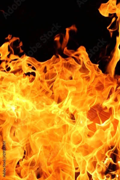 Fototapeta fire on black background