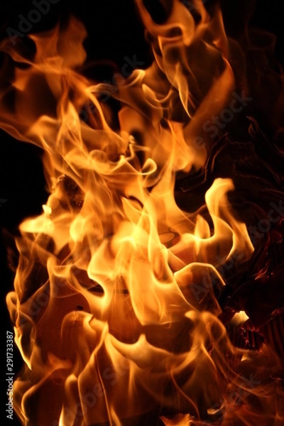 Fototapeta fire in fireplace