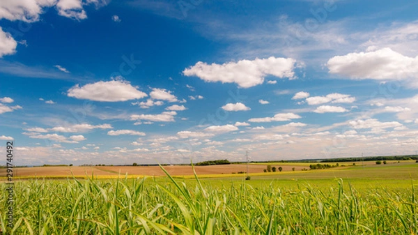 Fototapeta Landscape with green fields and clouds