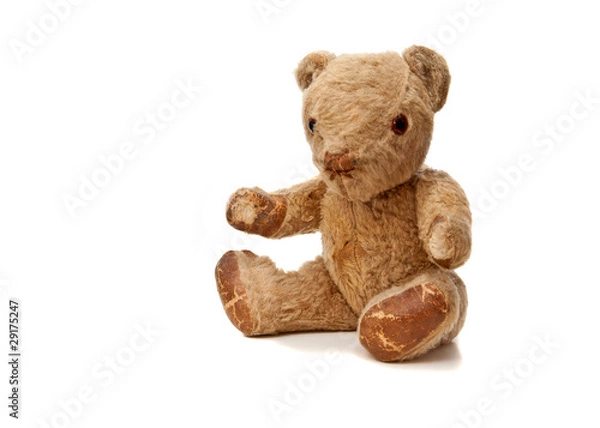 Fototapeta Old Teddy Bear
