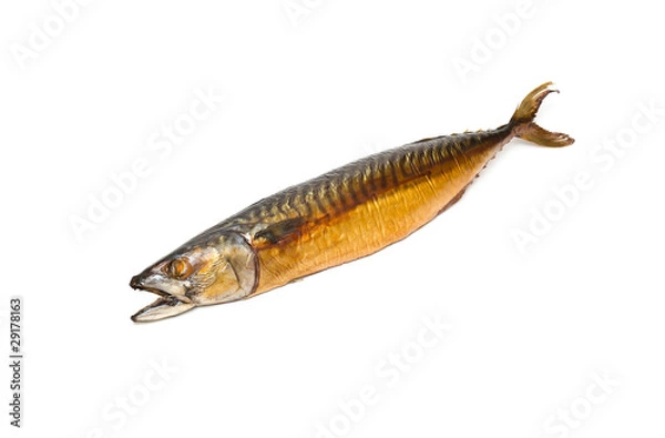 Obraz Smoked mackerel