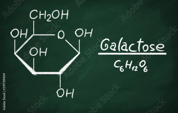 Obraz Structural model of Galactose