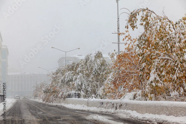Obraz Trees under the first snow, Norilsk