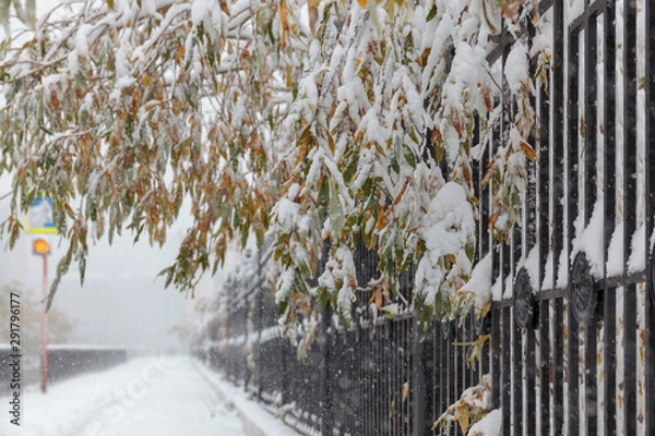 Obraz Trees under the first snow, Norilsk
