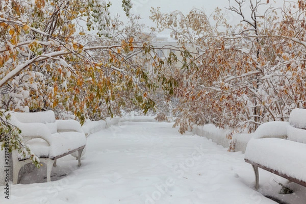 Obraz Trees under the first snow, Norilsk