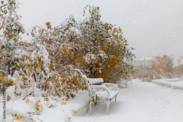 Obraz Trees under the first snow, Norilsk